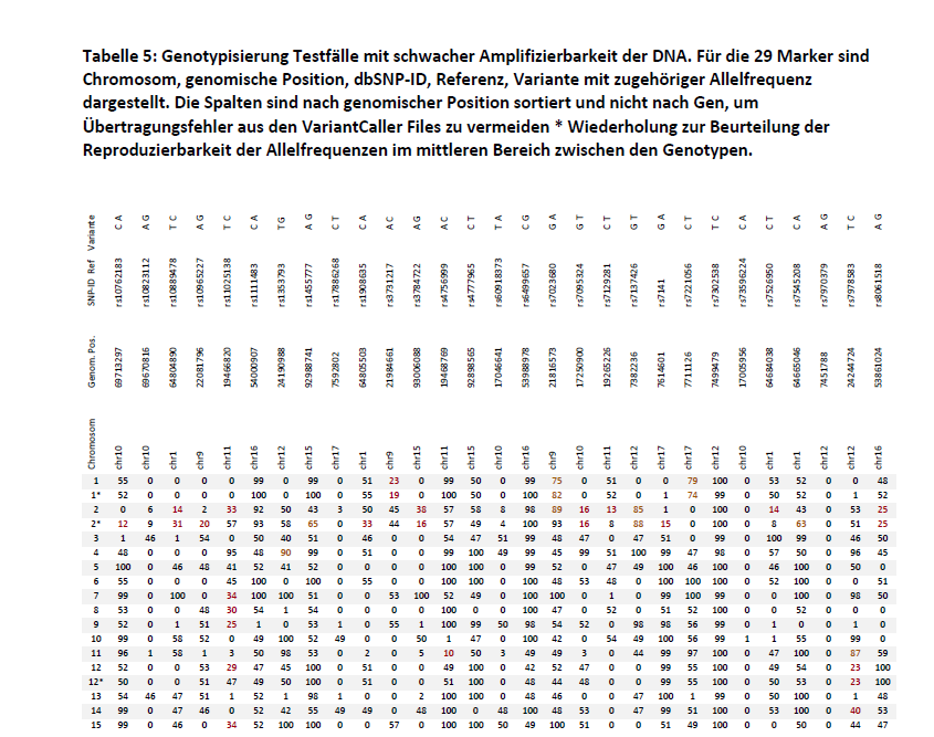 Komplexe-Tabelle-Abschlussbericht_Ausschnitt